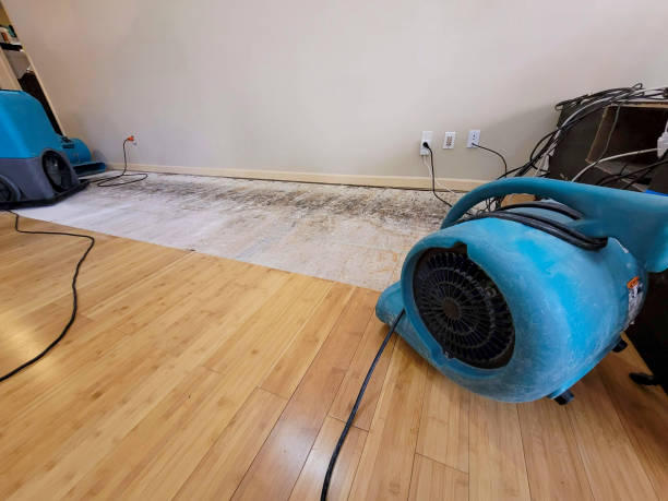 Professional Water Damage Repair technician working in Whipple, OH